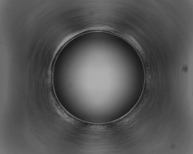 X0000091521044200708241646