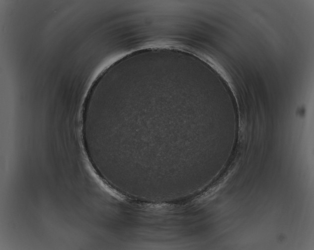 X0000091521045200708241646