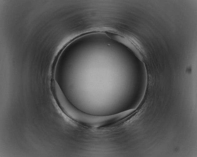 X0000091521046200708241646