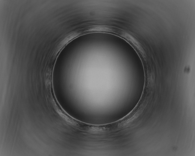X0000091521049200708241646