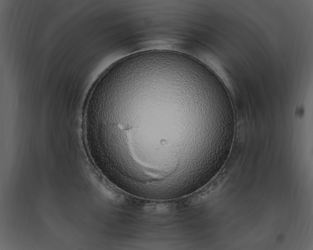 X0000091521051200708241646