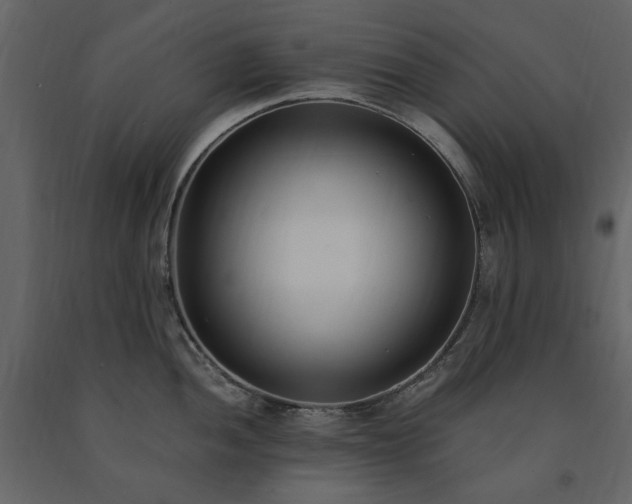 X0000091521052200708241646