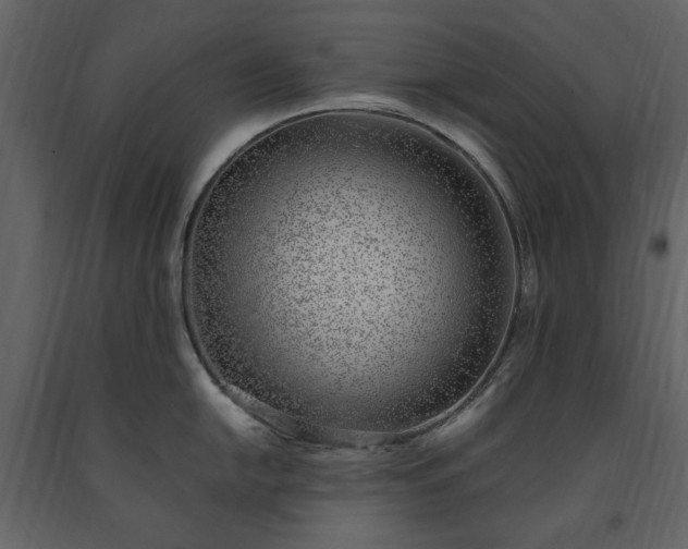 X0000091521054200708241646