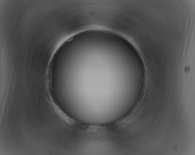 X0000091521056200708241646
