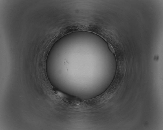 X0000091521057200708241645