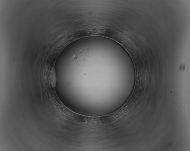 X0000091521058200708241645