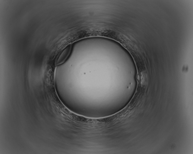 X0000091521059200708241645