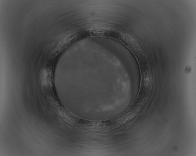 X0000091521060200708241645