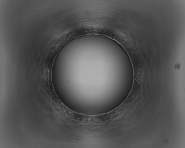 X0000091521061200708241645