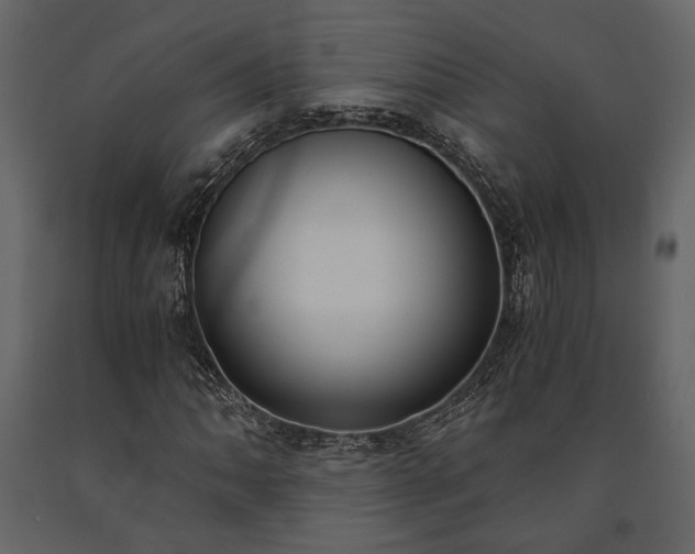 X0000091521062200708241645