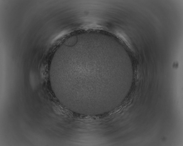 X0000091521063200708241645