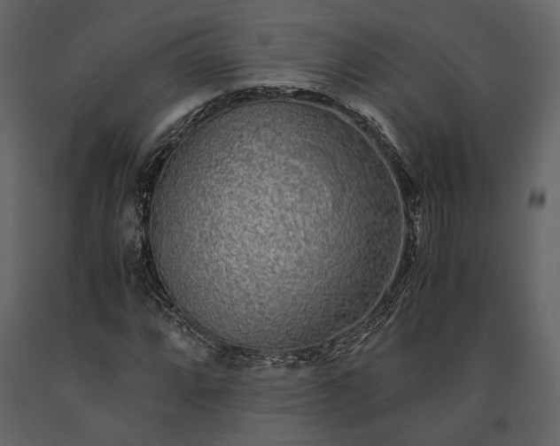 X0000091521064200708241645