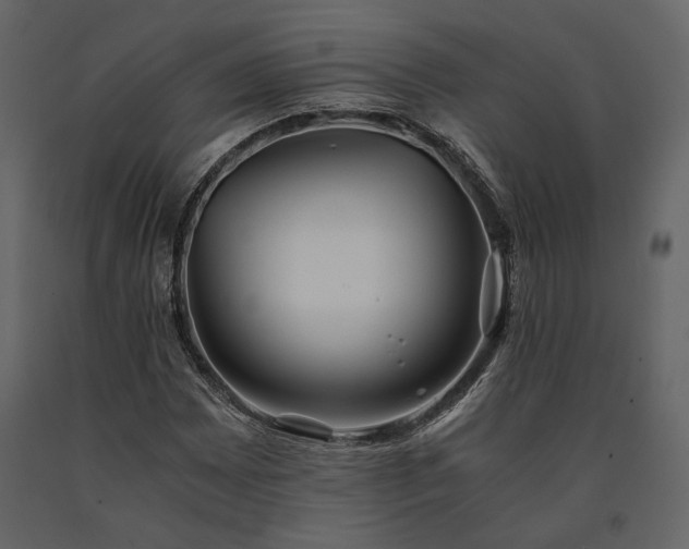 X0000091521065200708241645
