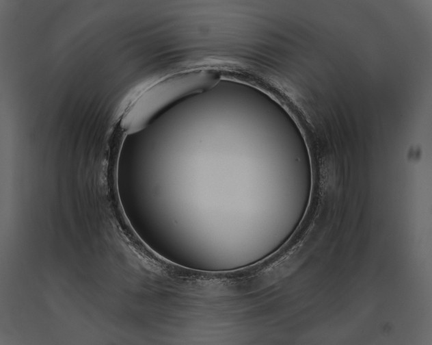 X0000091521066200708241645
