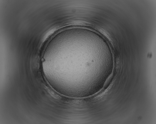 X0000091521067200708241645