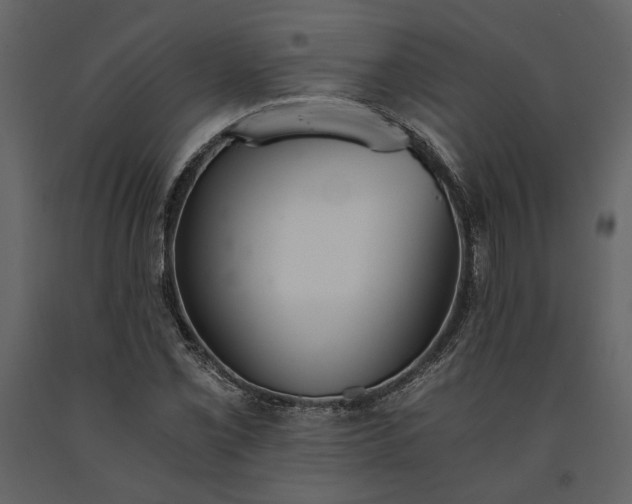 X0000091521069200708241645