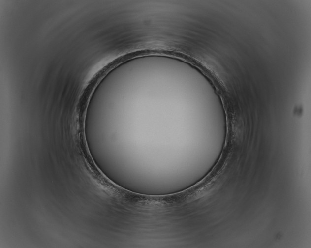 X0000091521070200708241645