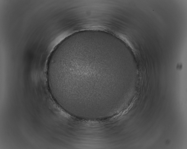 X0000091521071200708241645