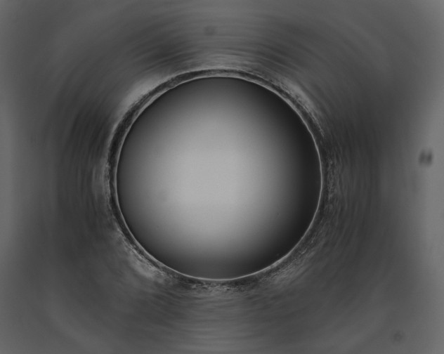 X0000091521072200708241645