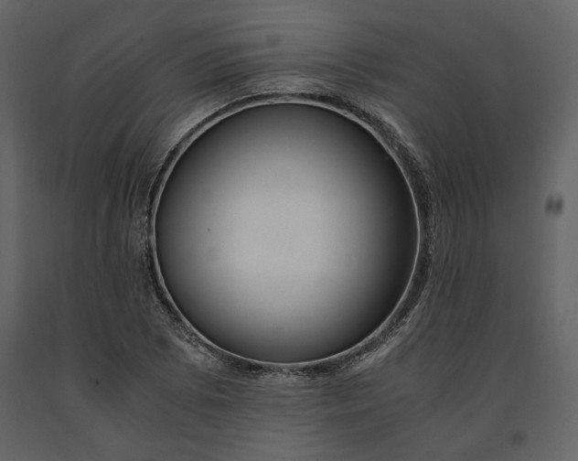 X0000091521073200708241645