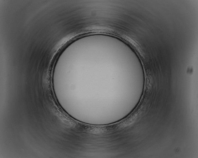 X0000091521074200708241645