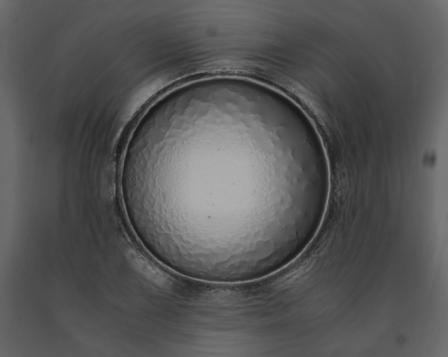 X0000091521075200708241645