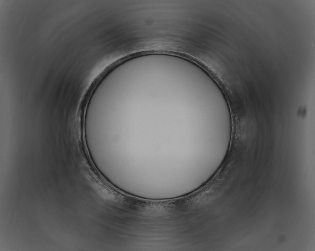 X0000091521078200708241645
