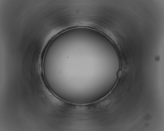 X0000091521080200708241645
