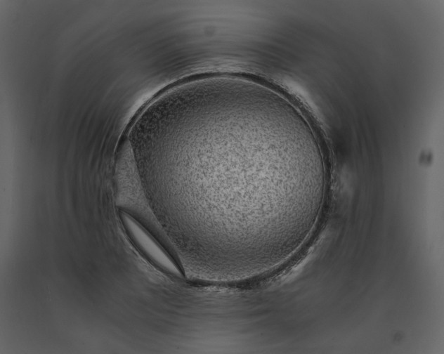 X0000091521081200708241645