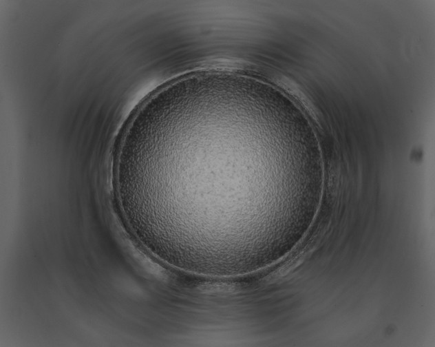 X0000091521083200708241645