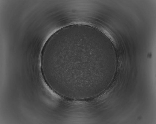 X0000091521084200708241645