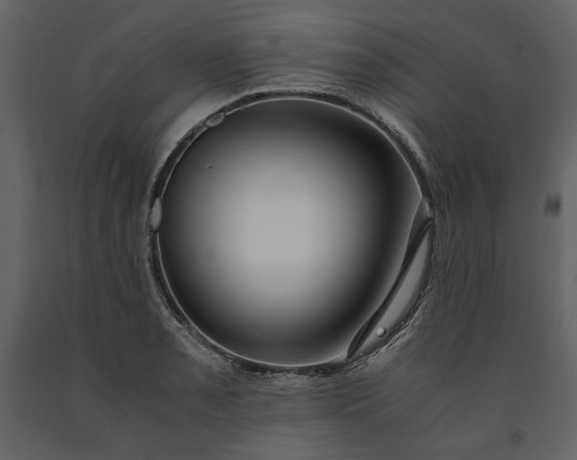 X0000091521085200708241645
