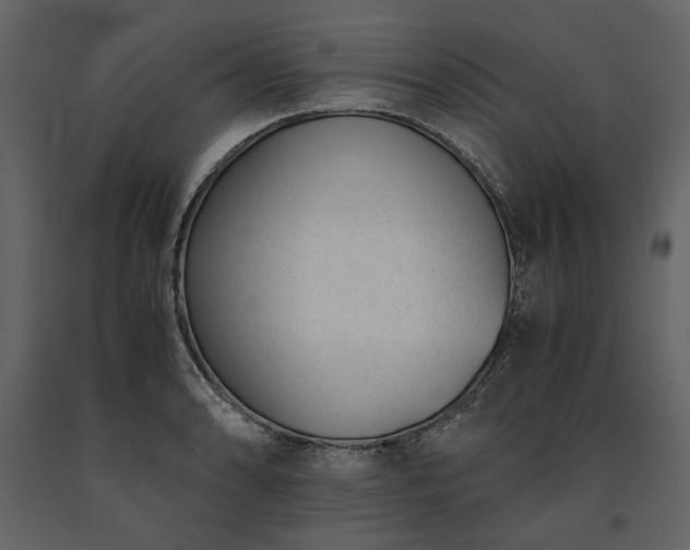 X0000091521086200708241645