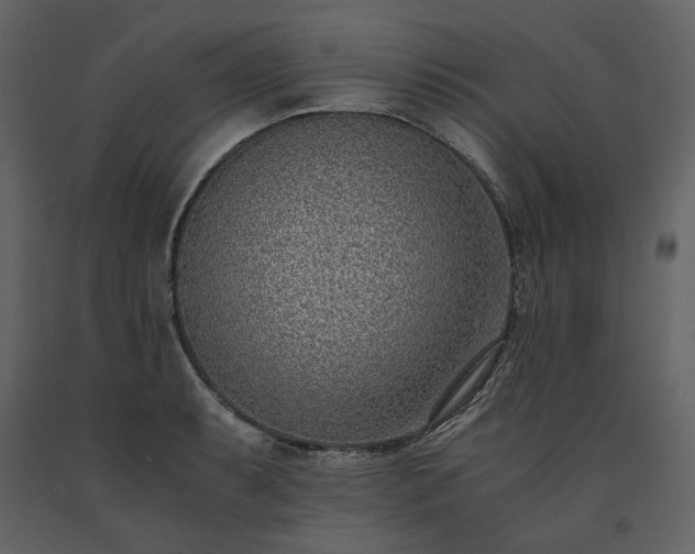 X0000091521087200708241645