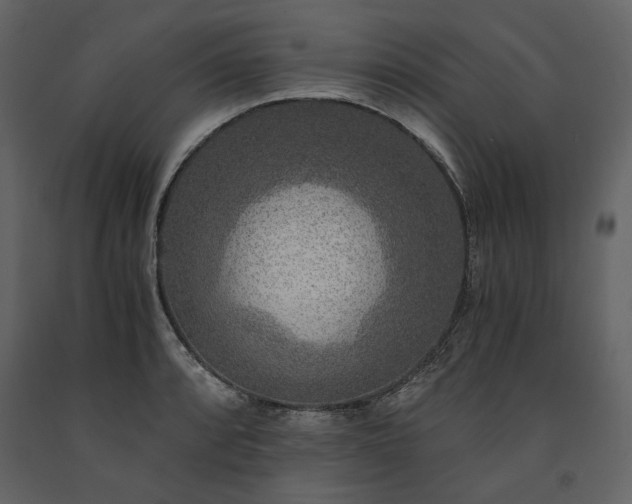 X0000091521088200708241645