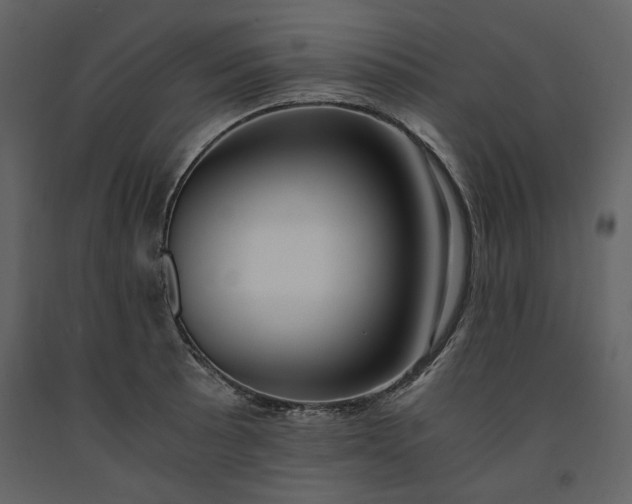 X0000091521089200708241645