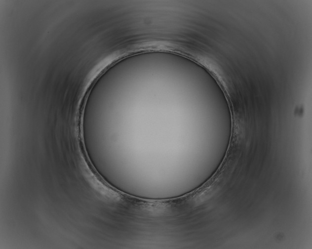 X0000091521090200708241645