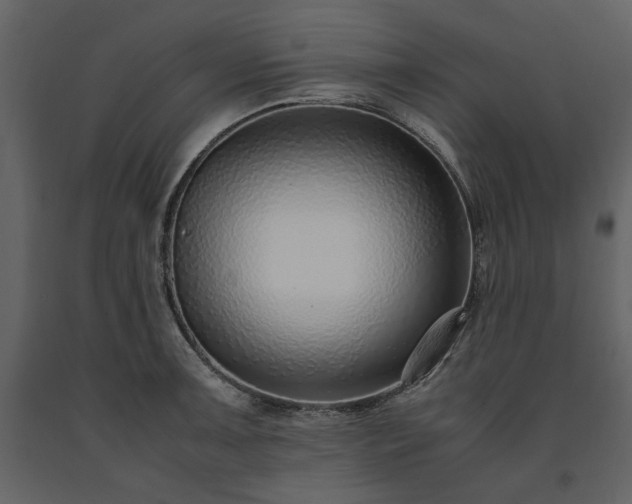 X0000091521091200708241645