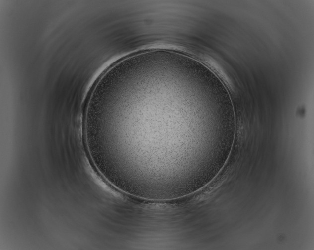 X0000091521092200708241645