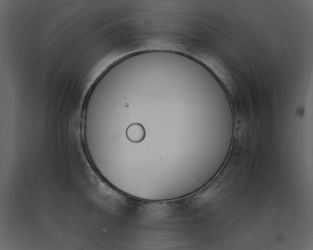 X0000091521094200708241645