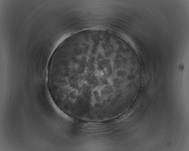 X0000091521095200708241645