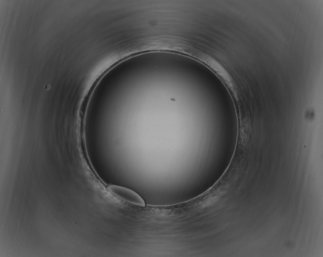 X0000091521096200708241645