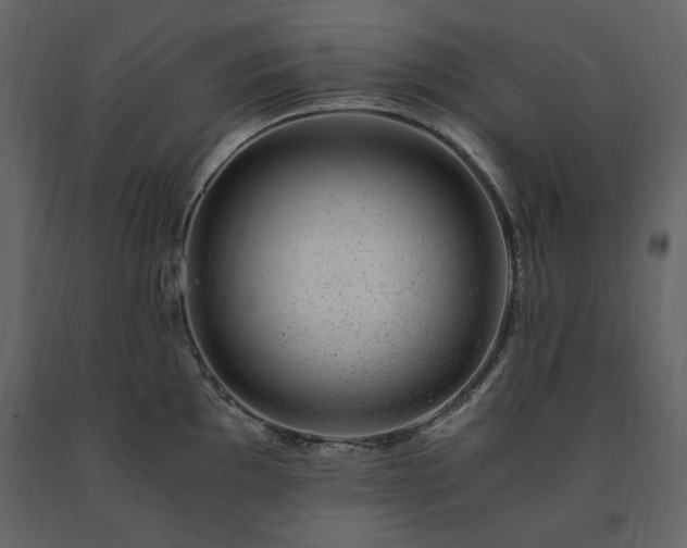 X0000091521097200708241645