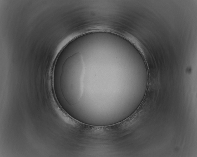 X0000091521098200708241645
