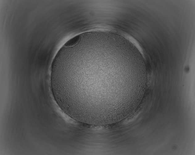 X0000091521099200708241645