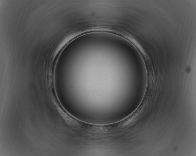 X0000091521101200708241644
