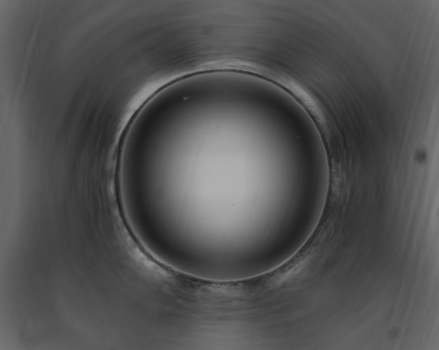 X0000091521102200708241644