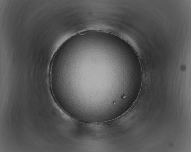X0000091521103200708241644