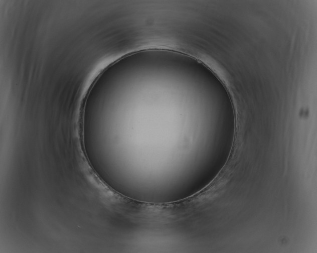 X0000091521104200708241644