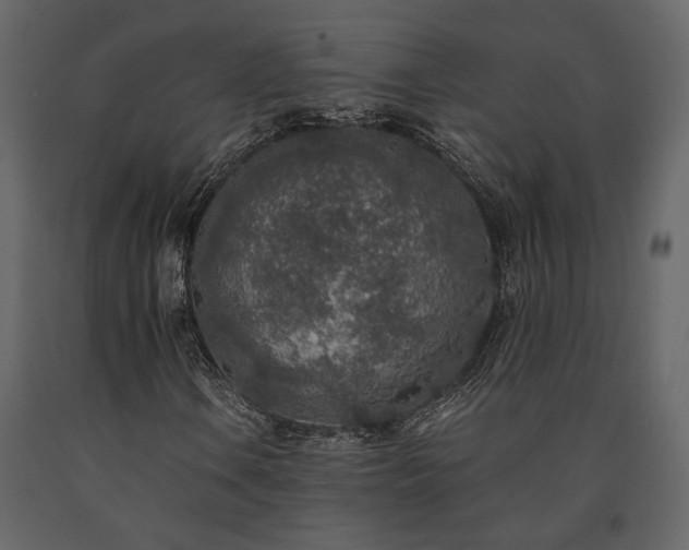 X0000091521106200708241644